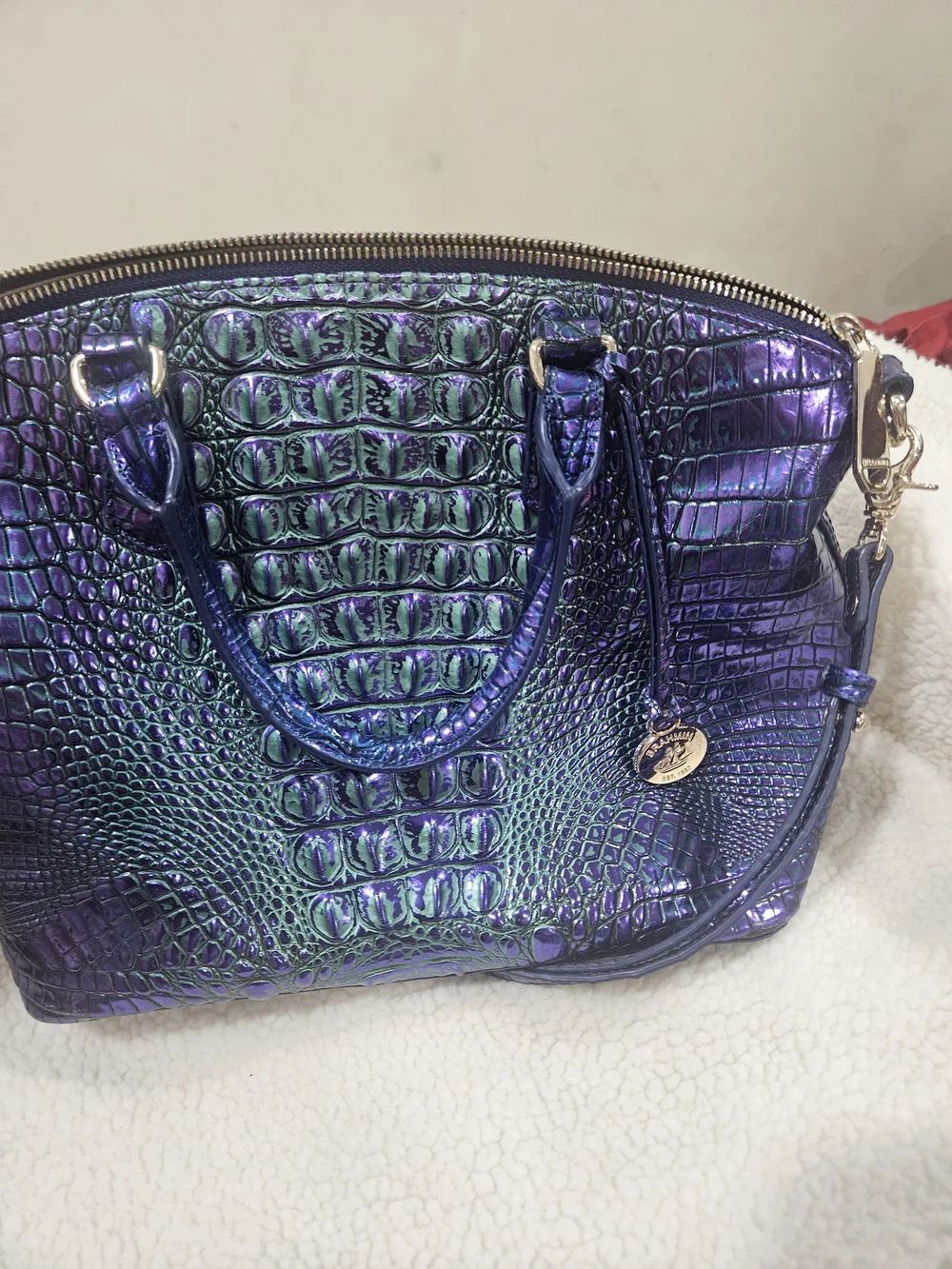 Brahmin stylish iridescent